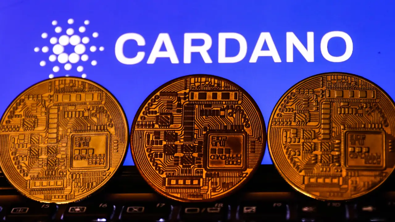 Cardano.