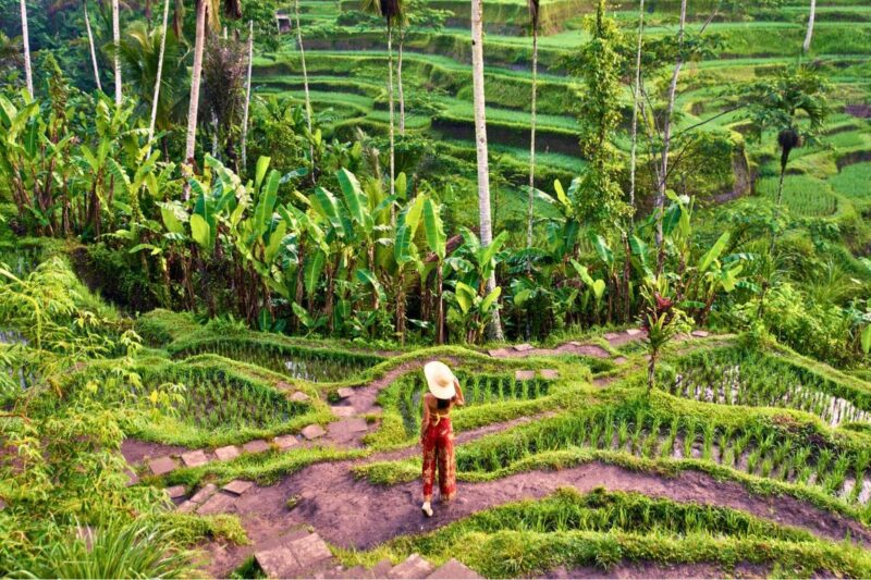 Bali jadi ikon pariwisata berkualitas.