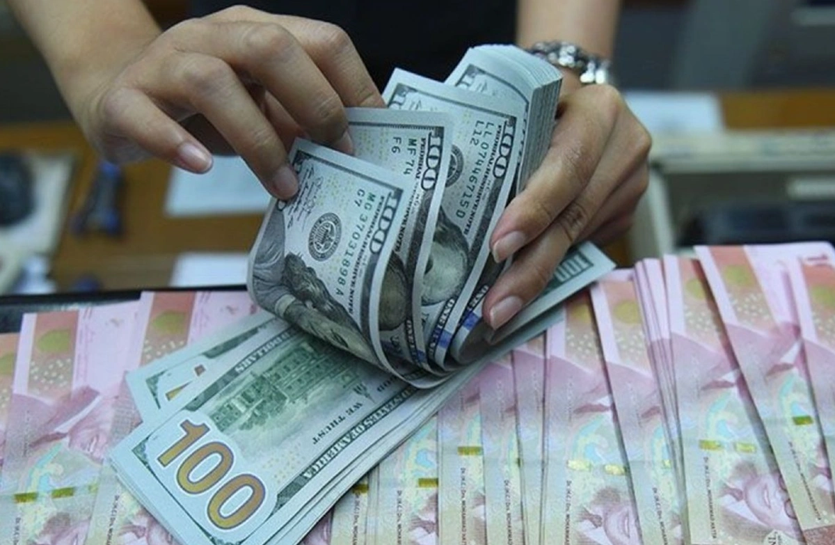 Teller menghitung dolar AS atau USD di tengah tumpukan Rupiah.(Antara)