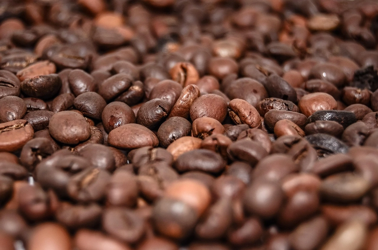 Indonesia Coffee Expo Medan 2026 Dorong Pertumbuhan Ekonomi