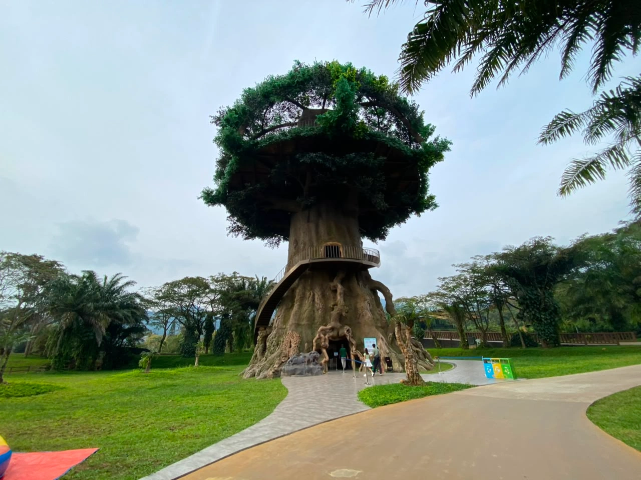 Tree of Life