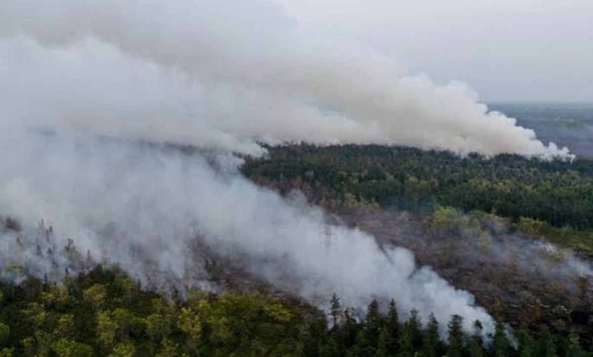 Kebakaran hutan dan lahan (Karhutla) yang banyak terjadi saat musim kemarau.