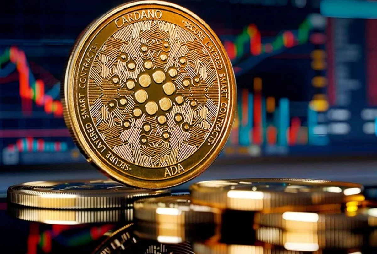 Cardano