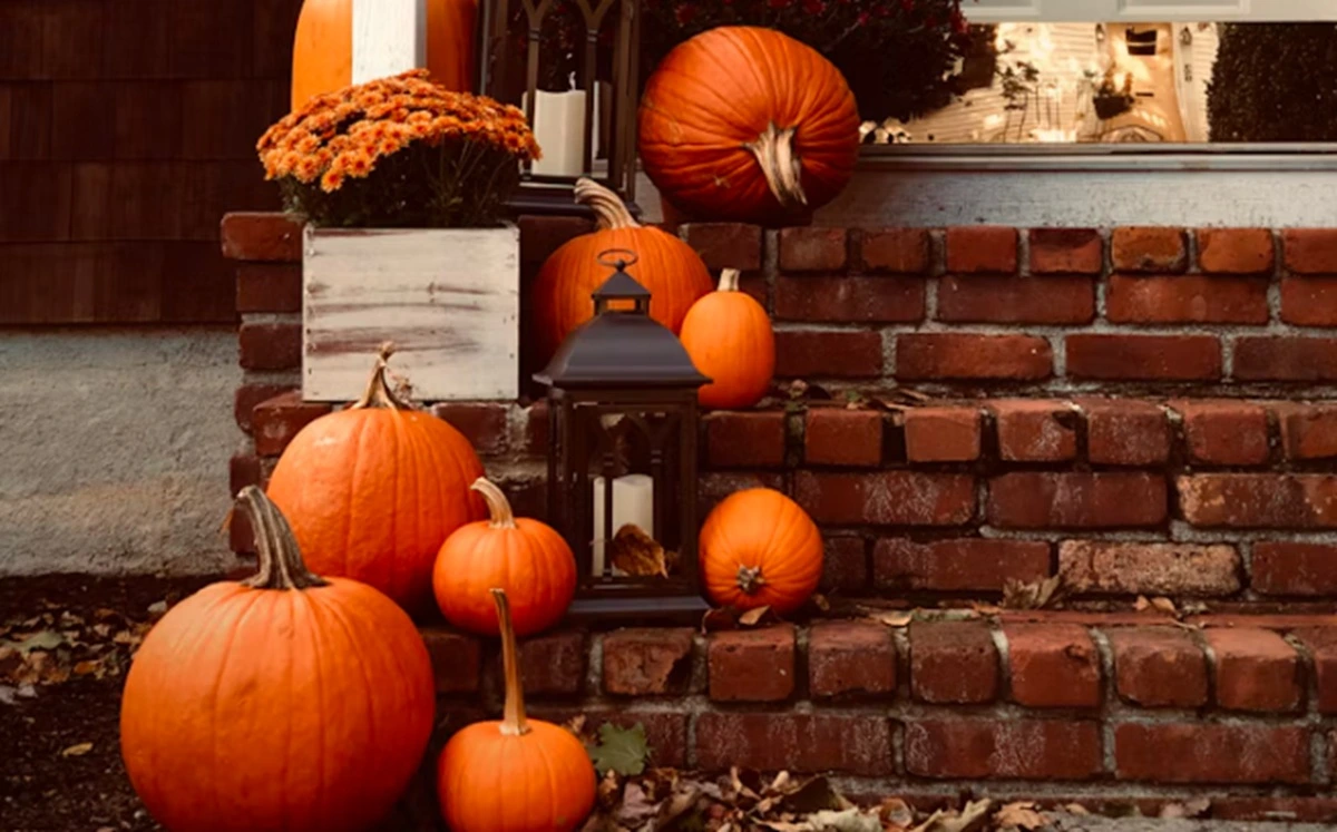 Halloweens Day.(Unsplash.com)